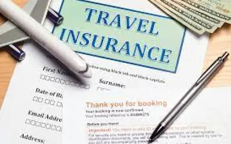 Germany Travel Insurance Market 2030 by Segments