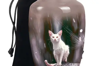 A Love That Never Leaves: Memorializing the Pets and People Who Changed Us