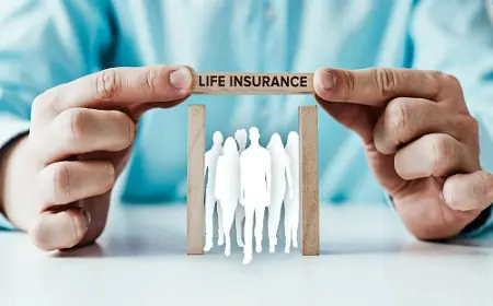 Austria Life & Non-Life Insurance Market 2030 Size & Forecast