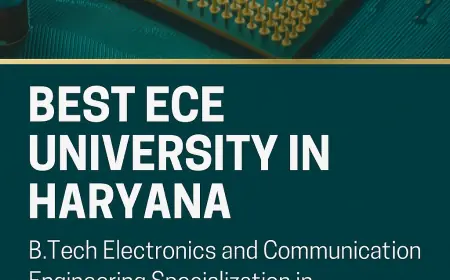 Why NIILM University is the Best Choice for ECE Aspirants in Haryana?