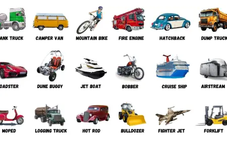 Egypt Electric Vehicle Market 2030 Sales & Forecast Trends