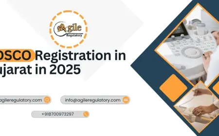 Navigating India's Pharma & MedTech Landscape in Gujarat