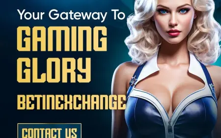 Stay Updated on Sports with betinexch Insights