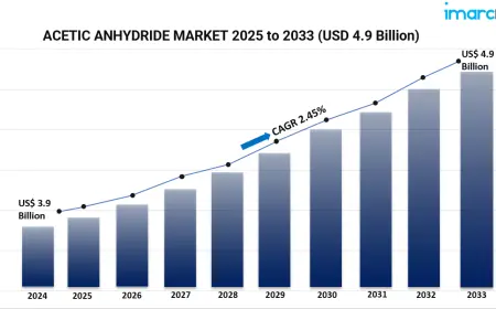 Global Acetic Anhydride Market Report: Industry Analysis & Future Opportunities