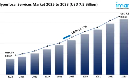 Hyperlocal Services Market Analysis, Key Players, Growth, and Forecast 2025-2033