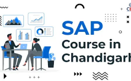 From Finance to Logistics: Upgrade Your Enterprise Skillset