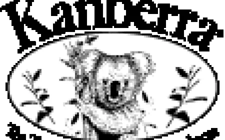 Elevate Your Environment: The Natural Benefits of a Tea Tree Oil Diffuser