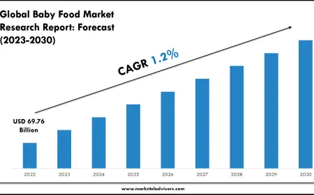 Baby Food Market Companies, Share and Outlook Report 2030