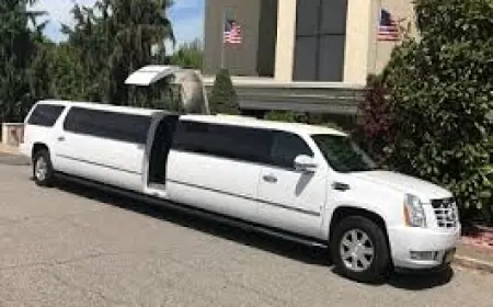 Celebrate a Bold Entrance, Celebrate in a Pink Hummer Limo