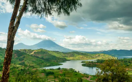 Exploring Congo: An Unforgettable African Adventure