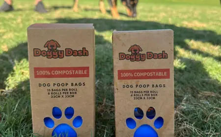 How to Manage Bulk Pet Waste Efficiently?