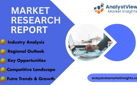 Bone Punches Market Analysis, Trends, and Opportunities 2032
