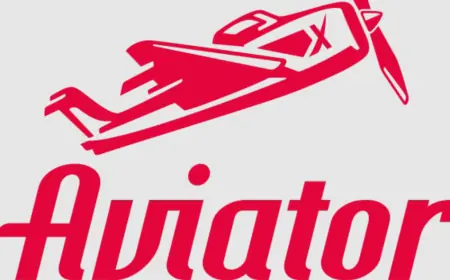 Never Ignore These Things When Using the Aviator Game Application