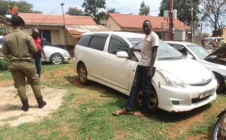 How I Tracked Down the Thieves Who Stole My Livelihood