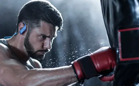 From Underdog to Undisputed: The Making of a Boxing Champion