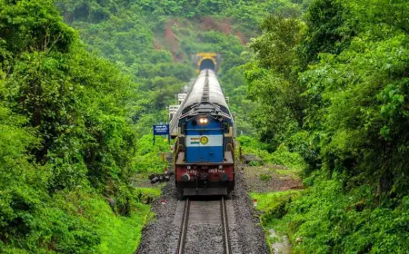 Explore Nature's Paradise with Coorg Tour Packages