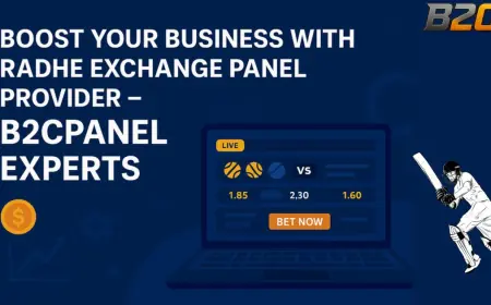 Boost Your Business with Radhe Exchange Panel Provider – B2CPanel Experts