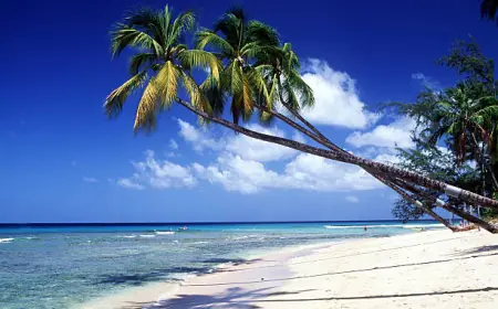 أفضل 10 أماكن يمكنك زيارتها في باربادوس