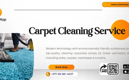What to Expect When Searching for Commercial Carpet Cleaning Near Me?