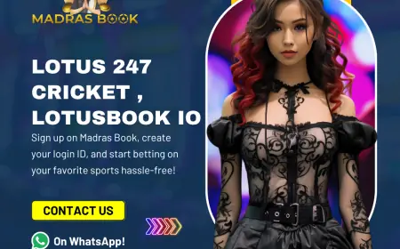 Lotus 247 Cricket – Get Online Cricket Betting ID Instantly | MadrasBook