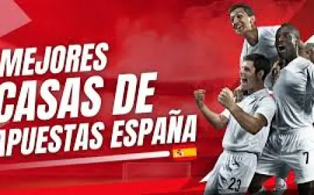 Principales características que debes buscar en una aplicación de apuestas deportivas