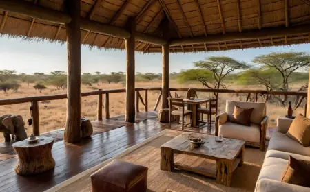 How Lodges in South Africa Make Your Travel Stress-Free