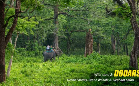 Explore the Wild Beauty with Custom Dooars Tour Packages from Kolkata