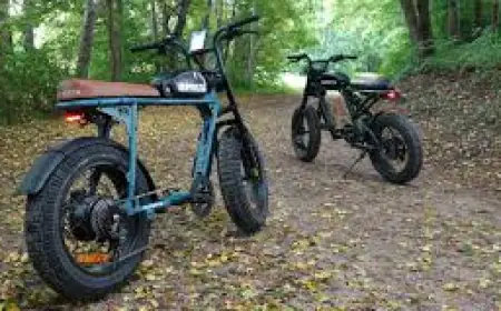 Germany Two-Wheeler Market 2030 – Demand by Region