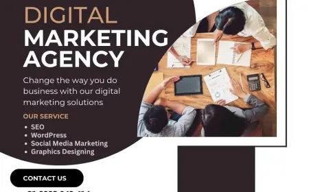 Maximize Your Online Reach Through a Digital Marketing Expert Agency in Noida