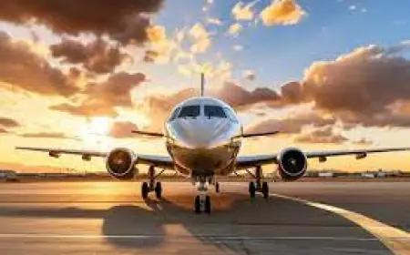 Lufthansa Airlines JFK Terminal +1-855-742-0149