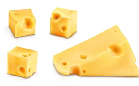 South Korea Cheese Market Share, Trends & Forecast 2025-2033