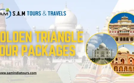 Explore Golden Triangle Tour Packages in 2025