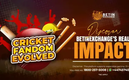 Betinexchange: Built for Game Changers