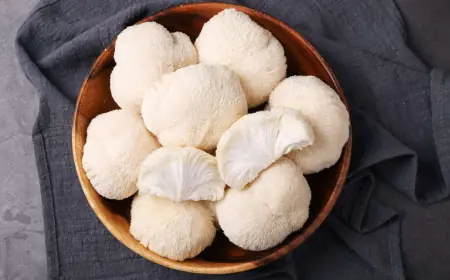 Lion's Mane Mushroom: The Complete Guide to Nature's Brain Booster