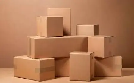 Get High-Quality Cardboard Box Manufacturers in India - Direct from Manufacturer | Shri Sai Printers
