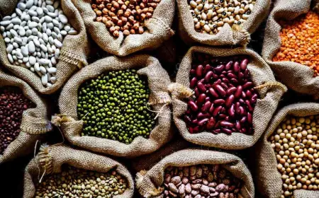 Explore India’s Best Beans Brands | Shop Healthy Beans Today