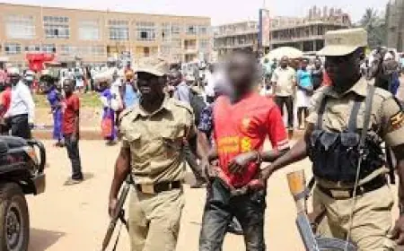 Drama in Nyeri as Thieves Eat Grass After Robbing Wealthy Businessman’s Shop