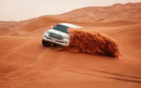 Comparing Morning vs. Evening Desert Safari in Dubai: Which Is Better?