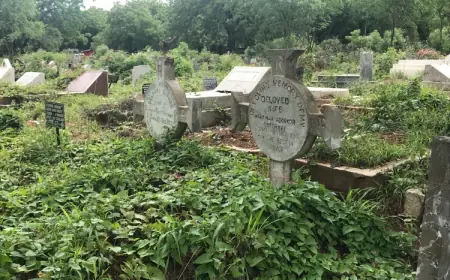 I Put a CCTV Camera on My Wife’s Grave—What I Captured Shocked Everyone