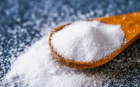 Sodium Chlorite Production Plant Report 2025, Unit Operations, Raw Material Requirements and Cost Involved