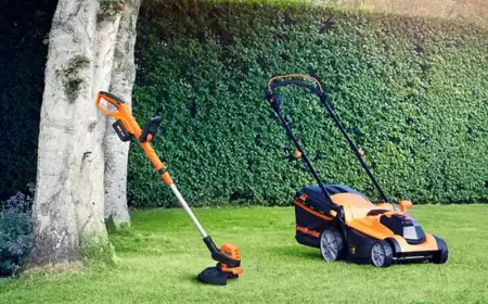 Choosing the Right Lawn Service in Leander for Your Yard