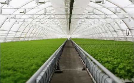 United States Indoor Farming Market Forecast by Investment Opportunity 2025–2033