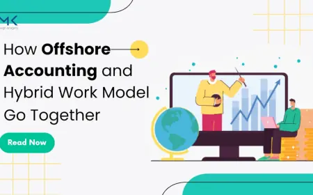 Offshore Accounts Payable: Addressing US Regulatory and Tax Concerns