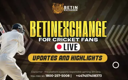 Betinexchange site shows improved match summary view