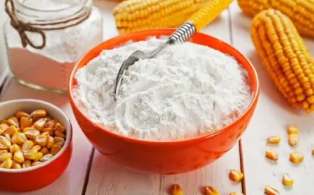 Dextrin Manufacturing Plant Cost 2025: Capital Investment and Detailed Project Report