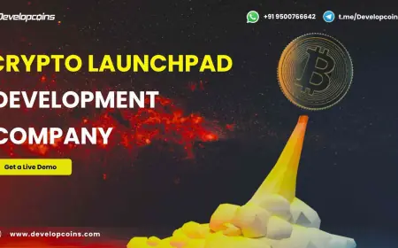 Top Crypto Launchpad Development Solutions for Advanced IDO Platforms in the Crypto Market