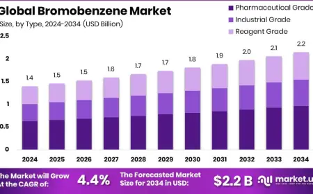 Bromobenzene Market Competitive Landscape Overview