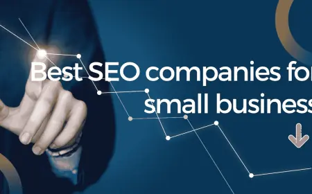 Affordable SEO Packages for Small Businesses – Boost Growth with the Right Plan