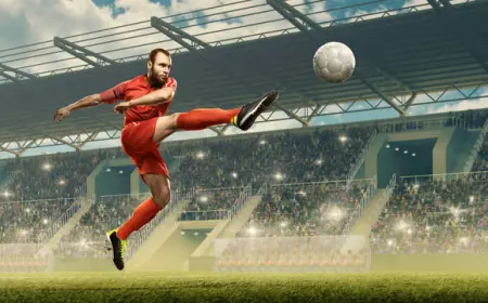 The Economics of Soccer: From Grassroots to Global Leagues