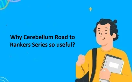 Why Cerebellum Road to Rankers Series so useful?